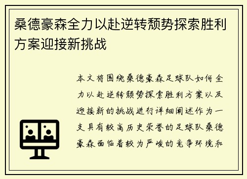 桑德豪森全力以赴逆转颓势探索胜利方案迎接新挑战