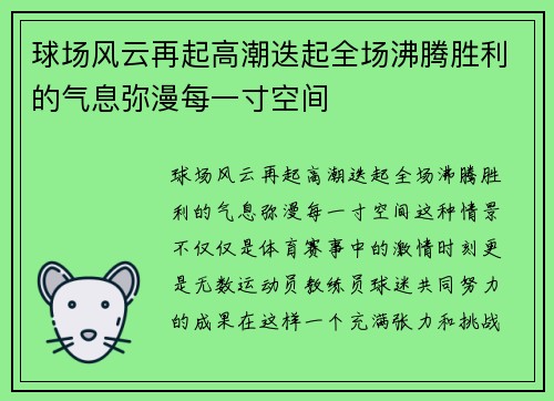 球场风云再起高潮迭起全场沸腾胜利的气息弥漫每一寸空间